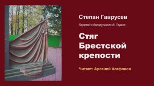 Стяг брестской крепости - Арсений Агафонов