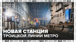 Станцию "Сосенки" построят на Троицкой линии метро Москвы к 2029 году - Москва 24