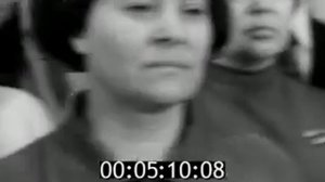 Ленинградская кинохроника 1973 № 14