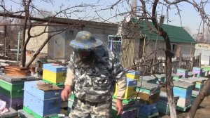 Весенние работы на пасеке Булдакова А.К. №2 апрель (архив)