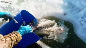 Запуск от 16.03.26