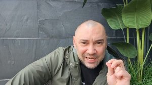 Оборонительный альянс НАТО вступает в войне против Ирана.