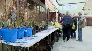 В Сочи открылась выставка растений из новосибирского питомника