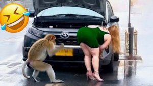 Лучшие Провалы Недели на Камеру