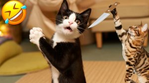 10 МИНУТ СМЕХА | ЛУЧШИЕ ПРИКОЛЫ С ЖИВОТНЫМИ | ПРО ЖИВОТНЫХ | СМЕШНЫЕ ЖИВОТНЫЕ