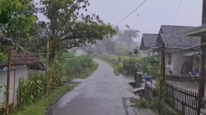 СЕЛЬСКАЯ ЖИЗНЬ В ИНДОНЕЗИИ. ПРОГУЛКИ ПОД ДОЖДЕМ