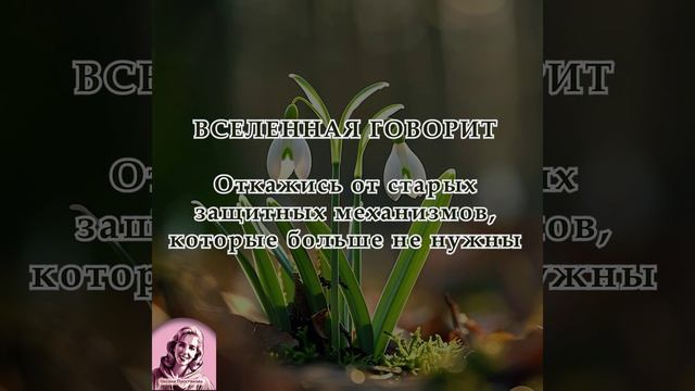 Послание на неделю 16.03.2026-22.03.2026