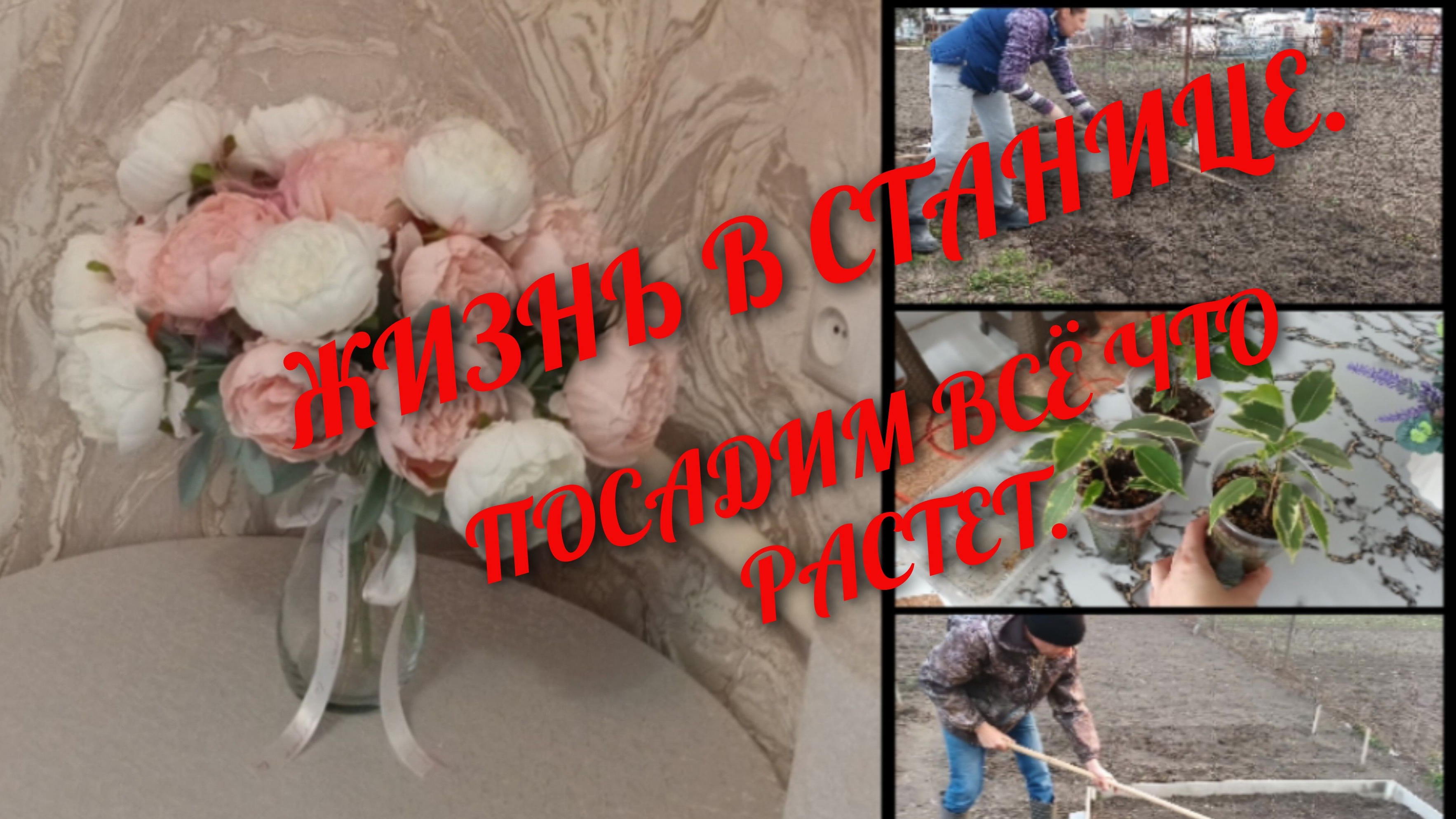 ЖИЗНЬ В СТАНИЦЕ./ ПОСАДИМ ВСЁ, ЧТО РАСТЕТ ( и посмотрим что получится.)