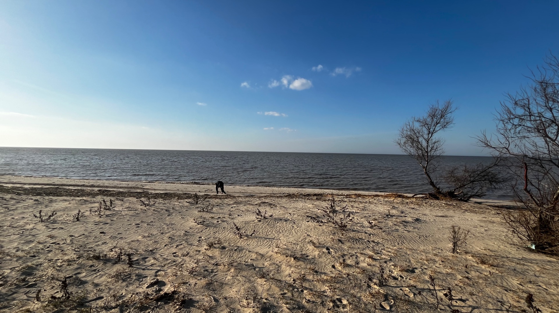 Лиман Азовское море