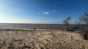 Лиман Азовское море