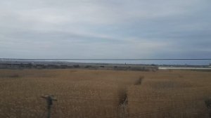 Когда женщина недовольна своей жизнью