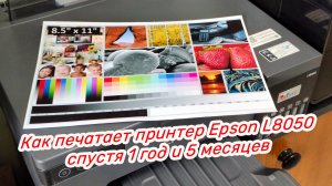 Как печатает принтер Epson l8050 спустя 1 год и 5 месяцев