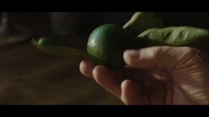 «Мандариния — страна чудес» Трейлер