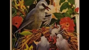 бИБЛИОТЕКА В КАДРЕ