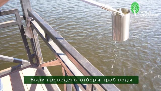 Проект "Очистка берегов и прибрежного дна водных объектов" в 2024 г.