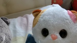 Утро с Басиками