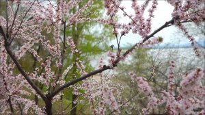 Точка невозврата. Это запрещено каждому знаку зодиака 17 марта.