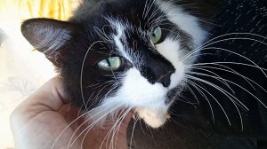 Митька.. неделю отвисает