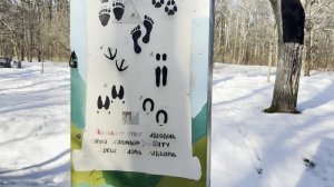 ПРОГУЛКА В СЕСТРОРЕЦКЕ. ПАРК «ДУБКИ»