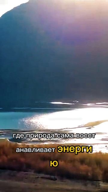 К своей мечте