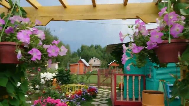 Видео привет с 6 соток. Прогноз погоды. Теплый вечер в августе 10 числа.