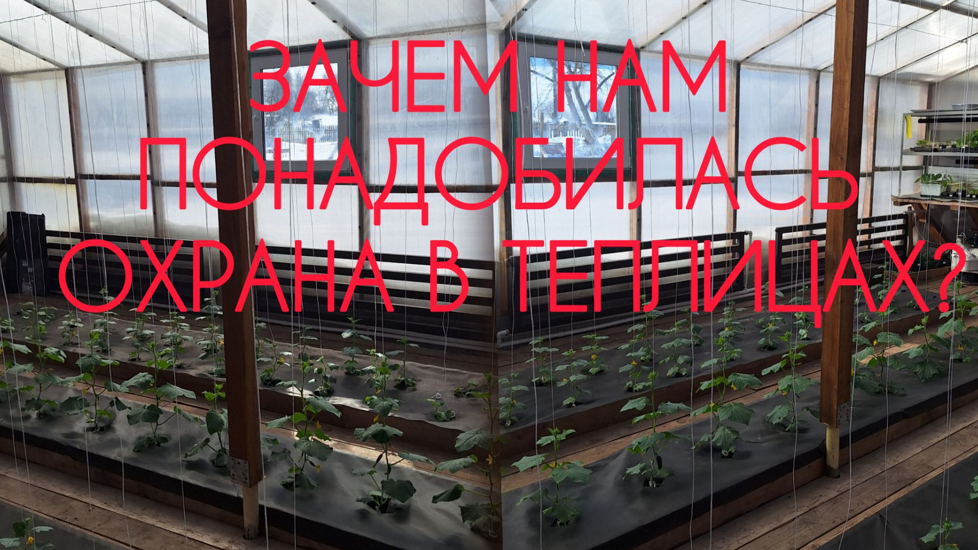 Вся семья в деле. Неделя проделанных работ в теплице. Наступил наш 7й огуречный сезон