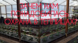 Вся семья в деле. Неделя проделанных работ в теплице. Наступил наш 7й огуречный сезон