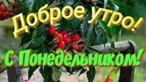Доброе утро понедельника. Роскошная музыкальная открытка.