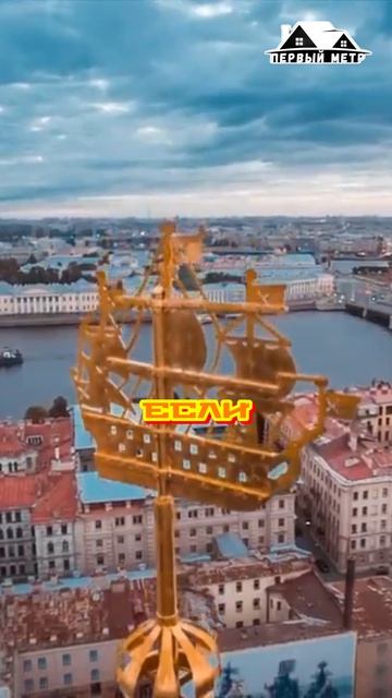 Купил квартиру… а в ней живёт чужая бабушка #shorts #недвижимость #квартира #риелтор