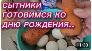 САМВЕЛ АДАМЯН, СЫТНИКИ, ГОТОВИМСЯ КО ДНЮ РОЖДЕНИЯ..