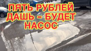 17/3 26 ВОВСЮ ВЕСНА. ЧЕЛОВЕЙНИКИ - беда для человекОВ. ПАССИВНЫЕ  ЖИЛЬЦЫ  УПРАВЛЯЙКЕ НА РУКУ.