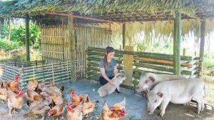 Достраиваю курятник и свинарник. На ферме появились новые животные. Серия 31. Хуан Ли