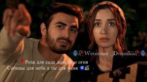 Цыганская песня душевная цитата )❤️🩹🔏👤