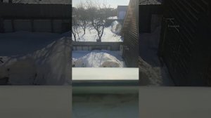 Вид окна днём в деревне