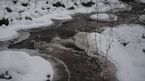 ВЕСНА, ЛЕТИ!