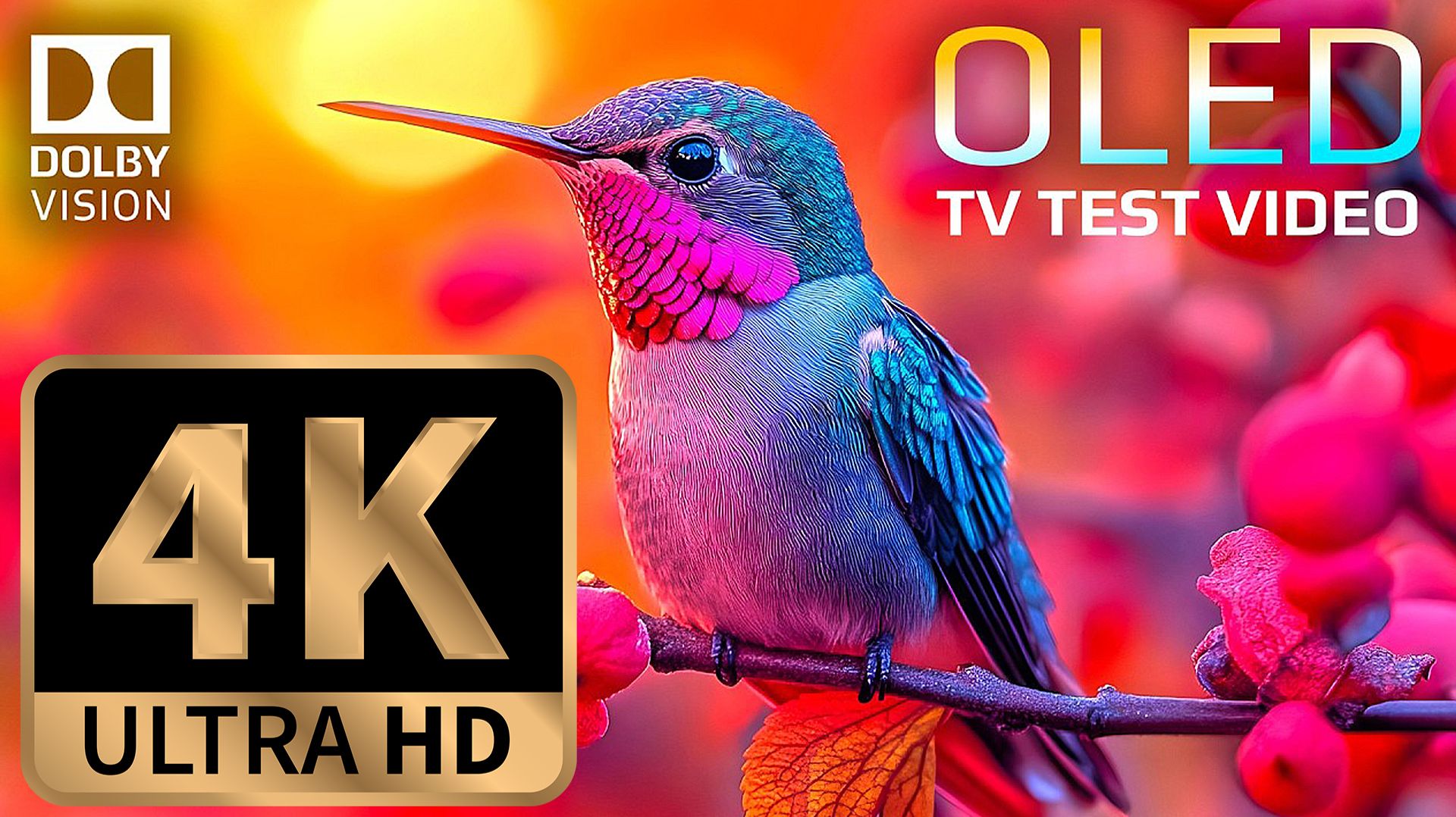 4K Video ULTRA HD \ 4К Видео Ультра качество Природа \ Заставка \ Тест \ Музыка