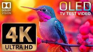 4K Video ULTRA HD \ 4К Видео Ультра качество Природа \ Заставка \ Тест \ Музыка