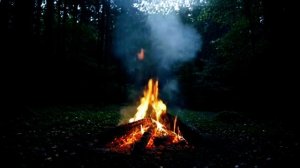 Звуки природы: ночь, костер, дождь, птицы, лес