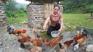 Достраиваю курятник, выращиваю цыплят, помогаю жителям деревни собирать урожай риса. Серия 9. Се