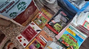 Дачная аптечка для растений. Сравнение бегоний и их развитие.