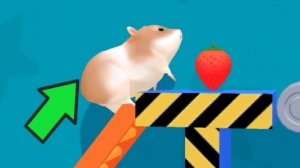 Hamster Maze. Хомяк в лабиринте