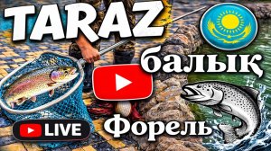 Страусы, сурикаты и свежая рыба в городе Тараз #тараз #fishing