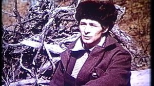 "Об уссурийском тигре". 1992г.