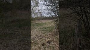 прогулка на велосипеде по старине