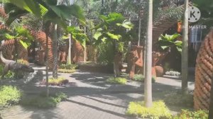 ТАЙЛАНД. ТРОПИЧЕСКИЙ САД НОНГ НУЧ