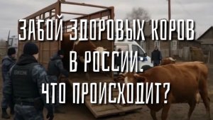 Ответы на ваши вопросы (тайм-коды в комментариях)