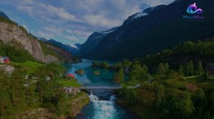 Гимн живой природы — музыка гармонии и внутренней силы