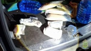 Пензенские полицейские не позволили наркокурьеру сбыть 6 кг мефедрона и гашиша в 3-х регионах России