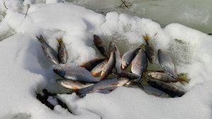 За мост через Вятку.