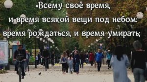 Всему свое время